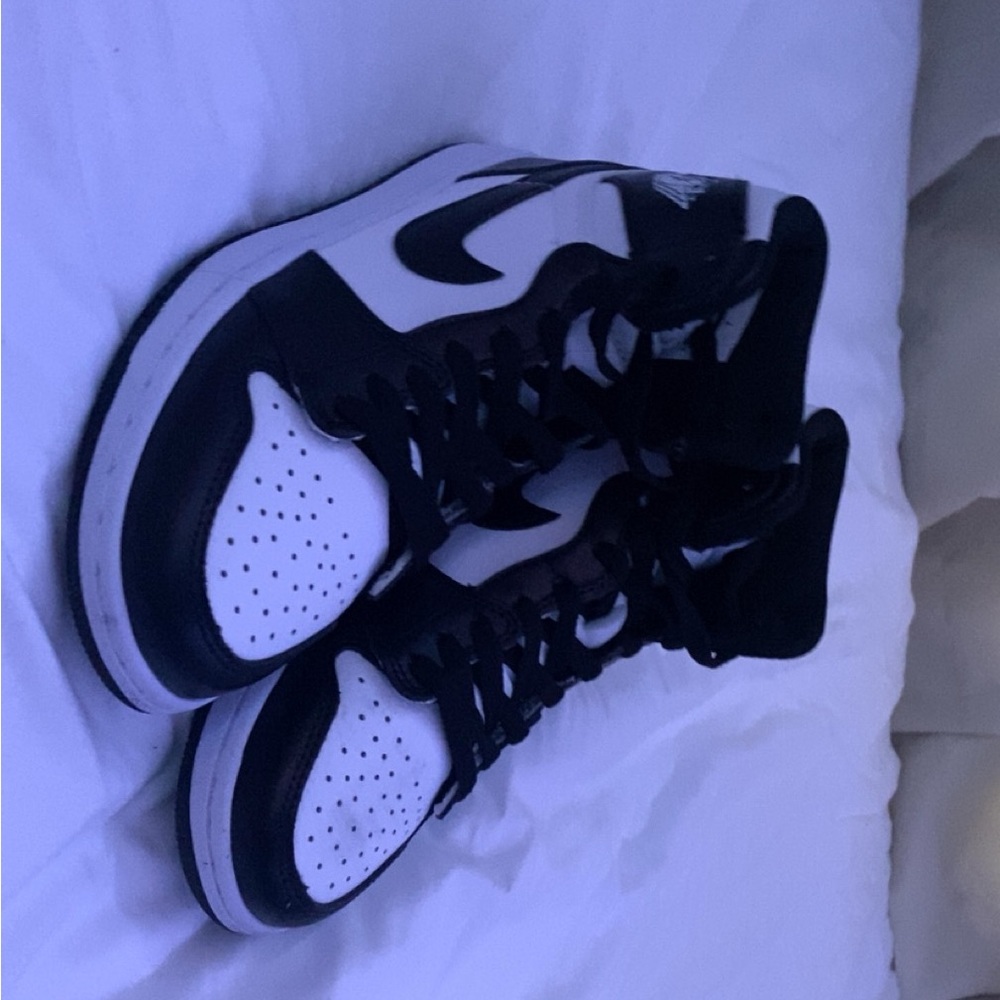 Panda Jordan 1